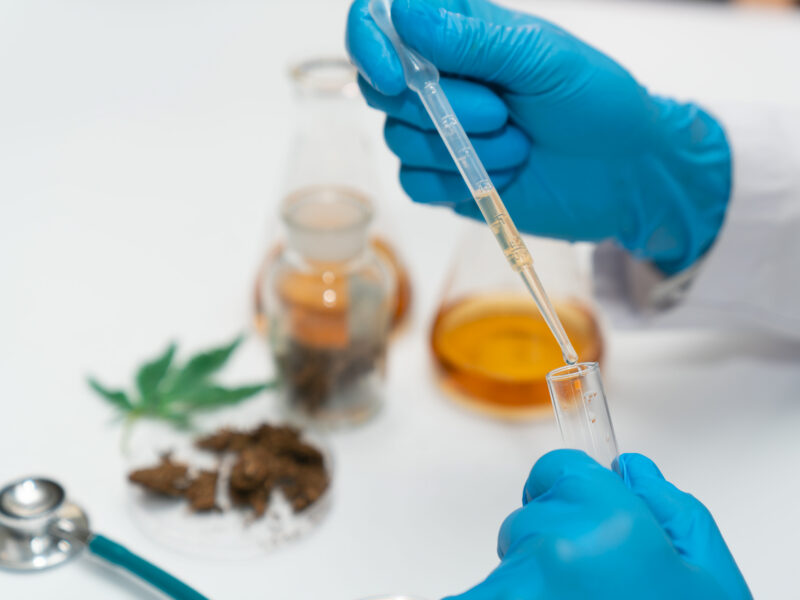 Cannabis research